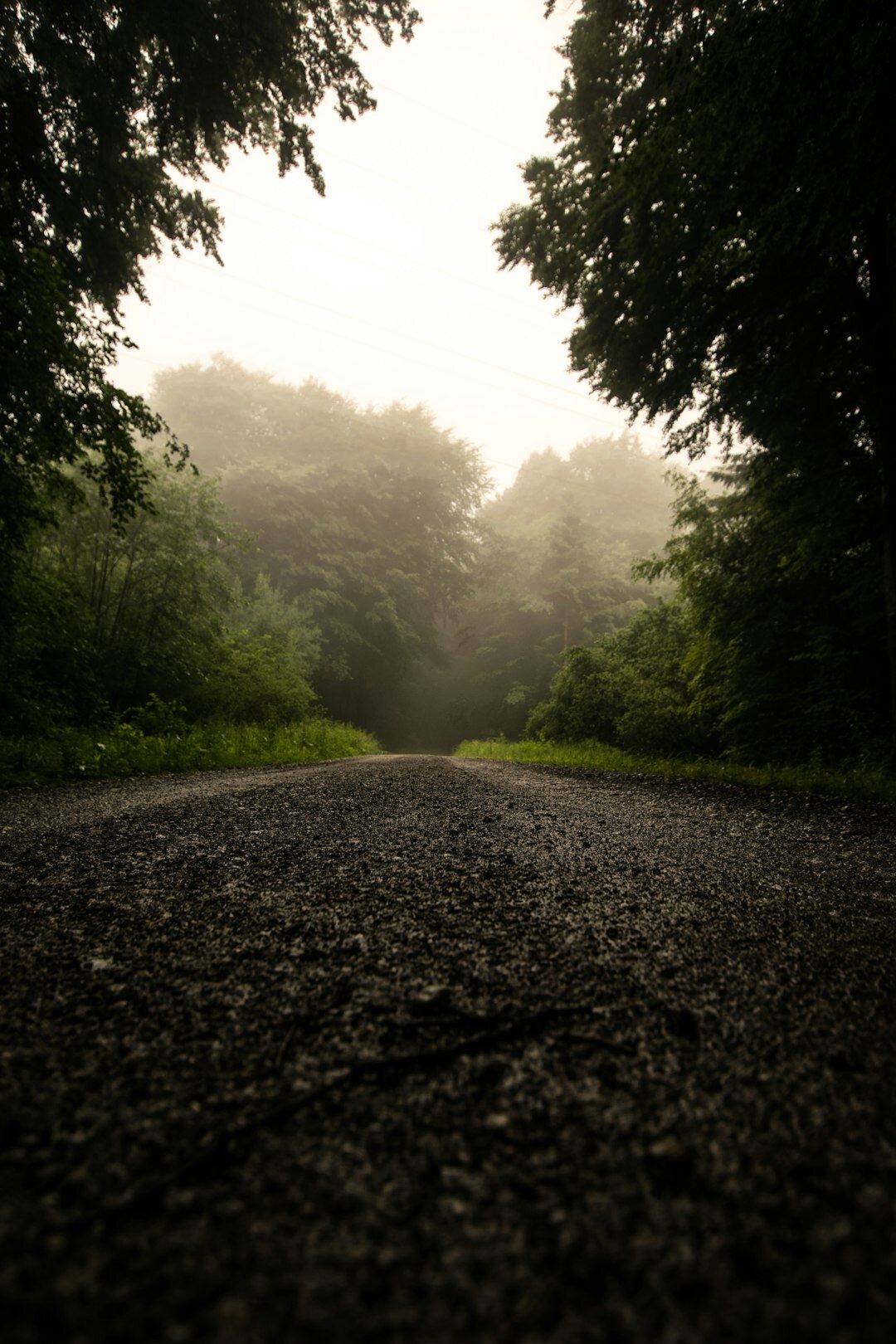 dark foggy street